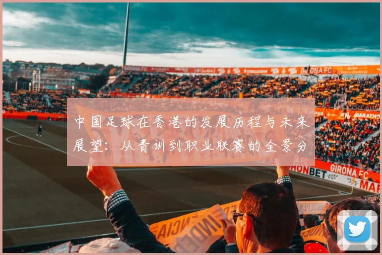 中国足球在香港的发展历程与未来展望：从青训到职业联赛的全景分析