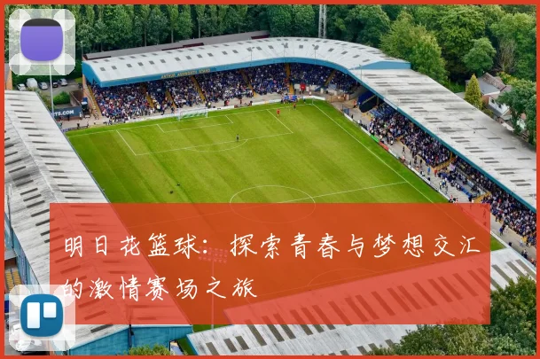 明日花篮球：探索青春与梦想交汇的激情赛场之旅