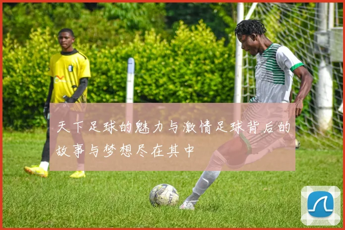 天下足球的魅力与激情足球背后的故事与梦想尽在其中
